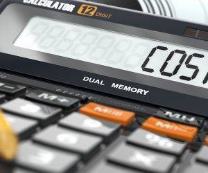 What Factors Influence Website Design Costs?