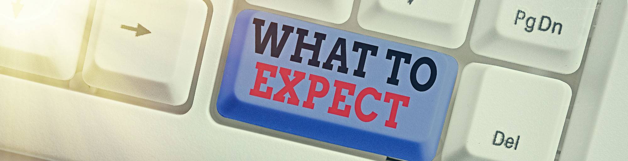 What to Expect from a Web Design Company