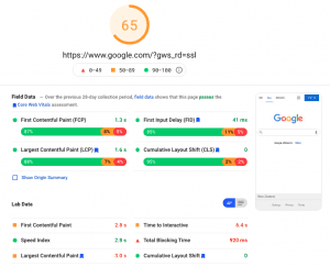 Google-Page-Speed-Insites-Graphic