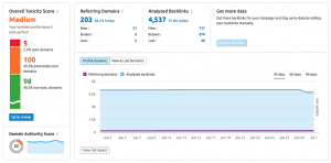 Back-Link-Audit-Graphic