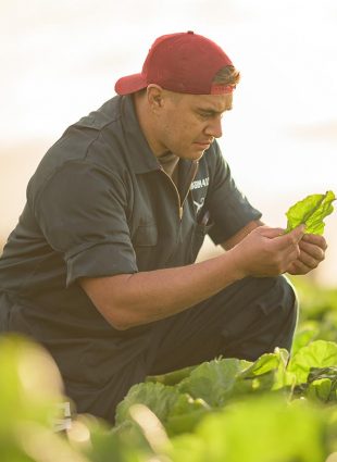 Farm 4 Life HUB Image 5