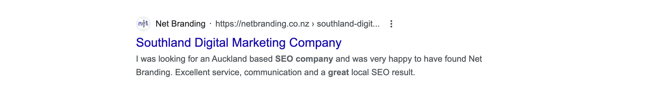 Best SEO Southland screen grab of Net Brandings Result