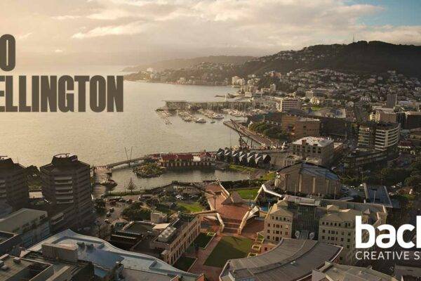 Finding the best Wellington SEO Company
