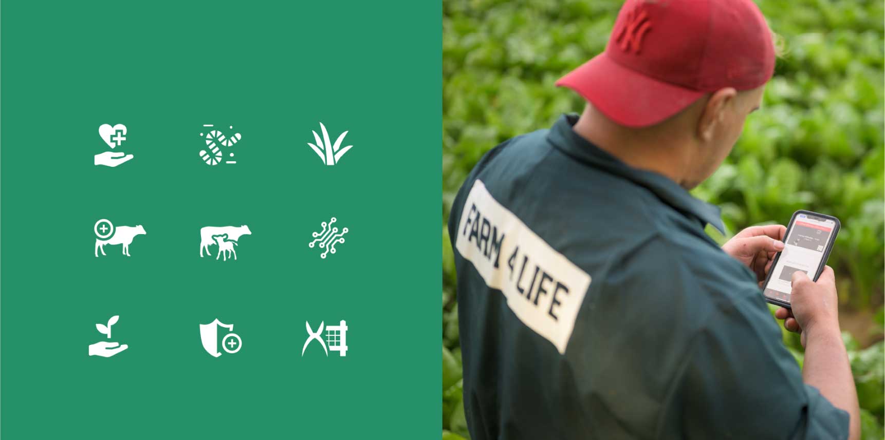 Farm For Life Icons And Tanagroa Walker On App
