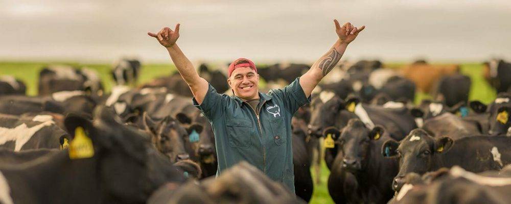 Tangaroa Walker on Farm with cows