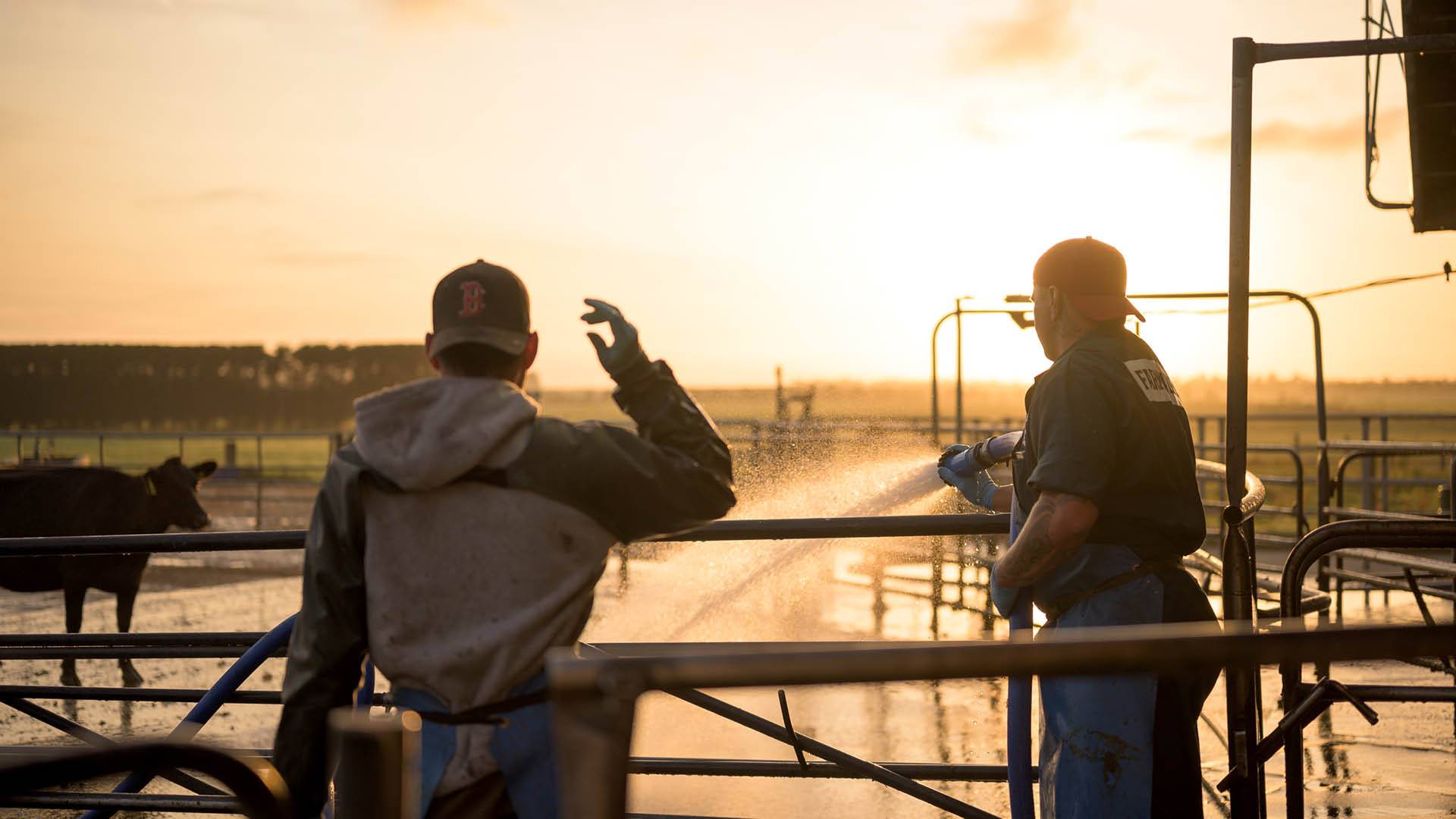 Back9 Digital - Website/Software, SEO, and Digital Marketing