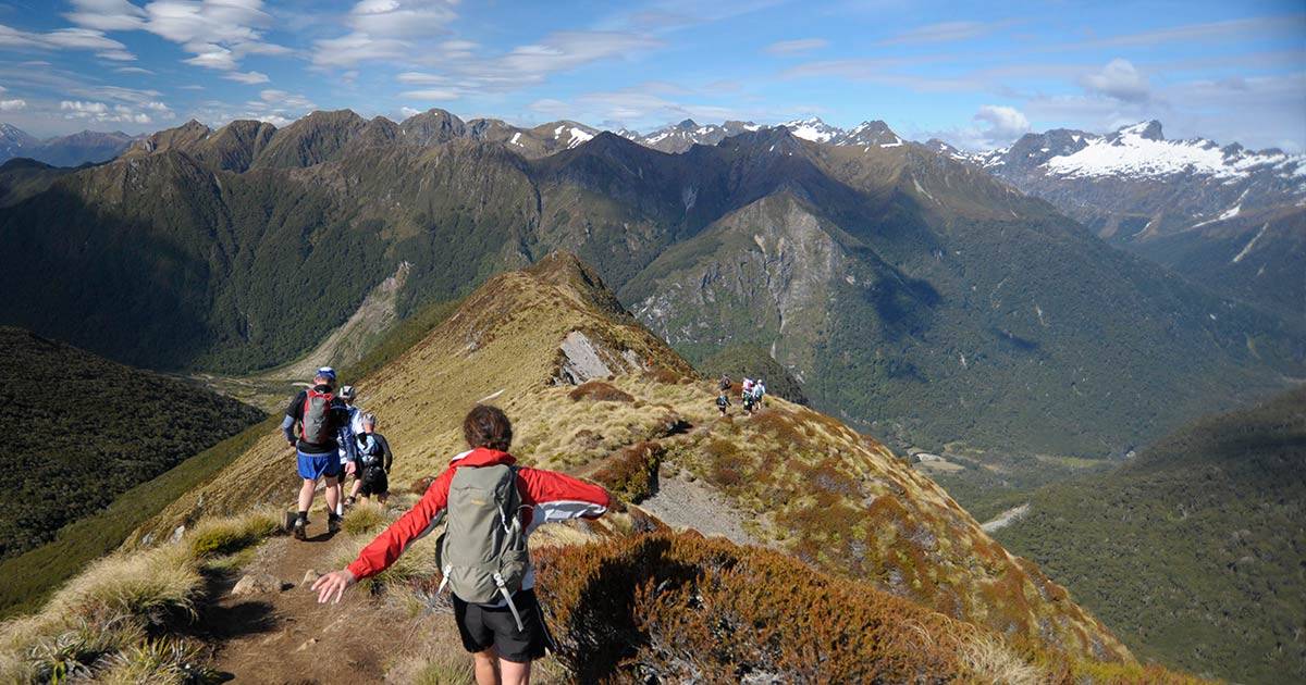 Back9 Digital - Website/Software, SEO, and Digital Marketing