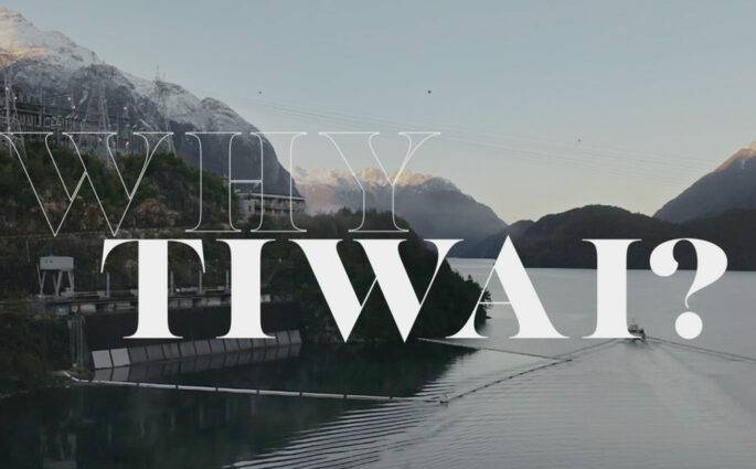 Main-image-for-Why-Tiwai-recruitment-campaign-by-back9-creative