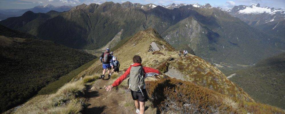 Runners on the kepler track competing in the kepler challenge
