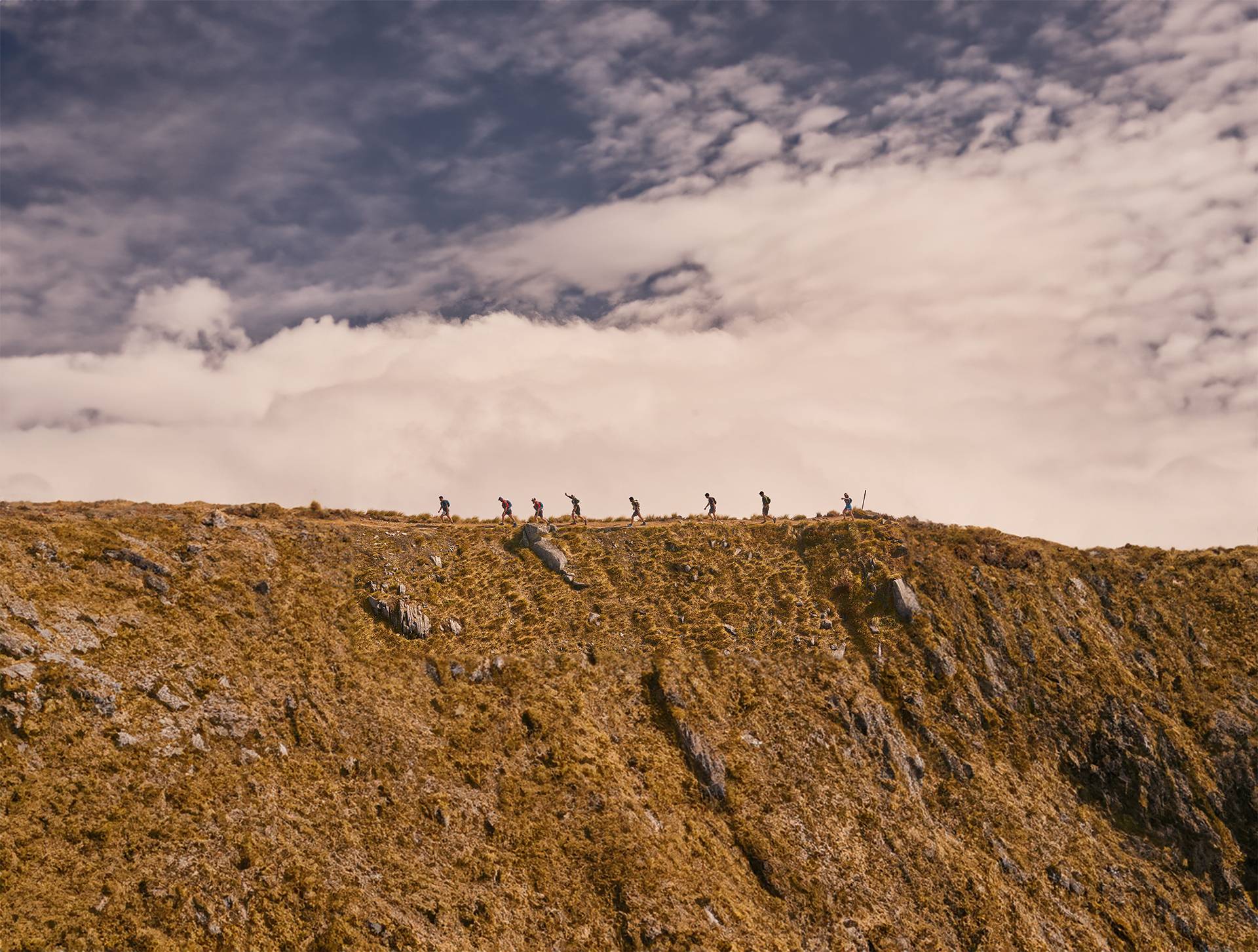 Back9 Photo and Video