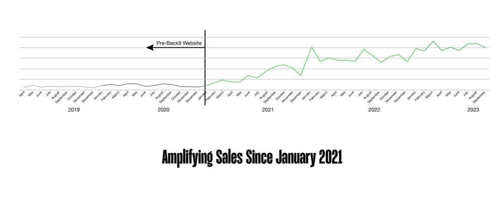 Safety 1st NZ graph of sales increase for ecommerce website by back9 creative