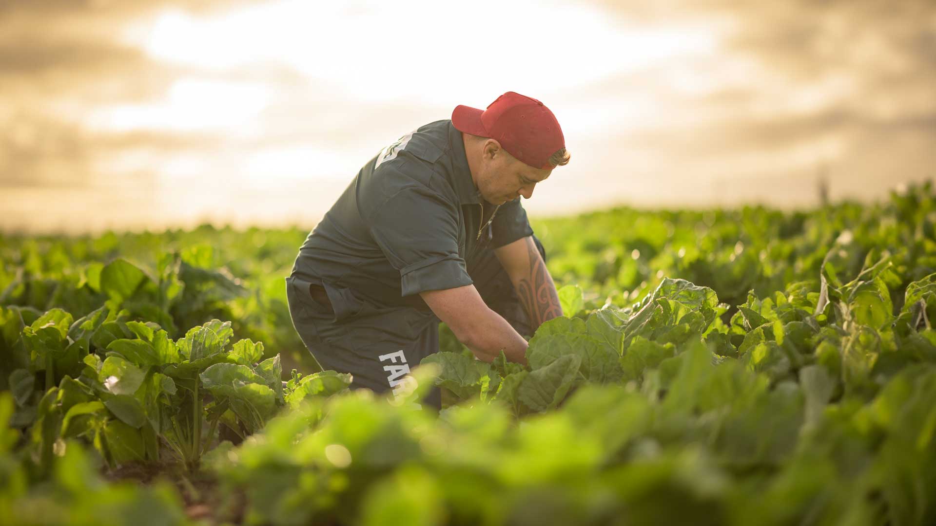 Image Of Tangaroa Walker Farm 4 Life App Founder And Creator