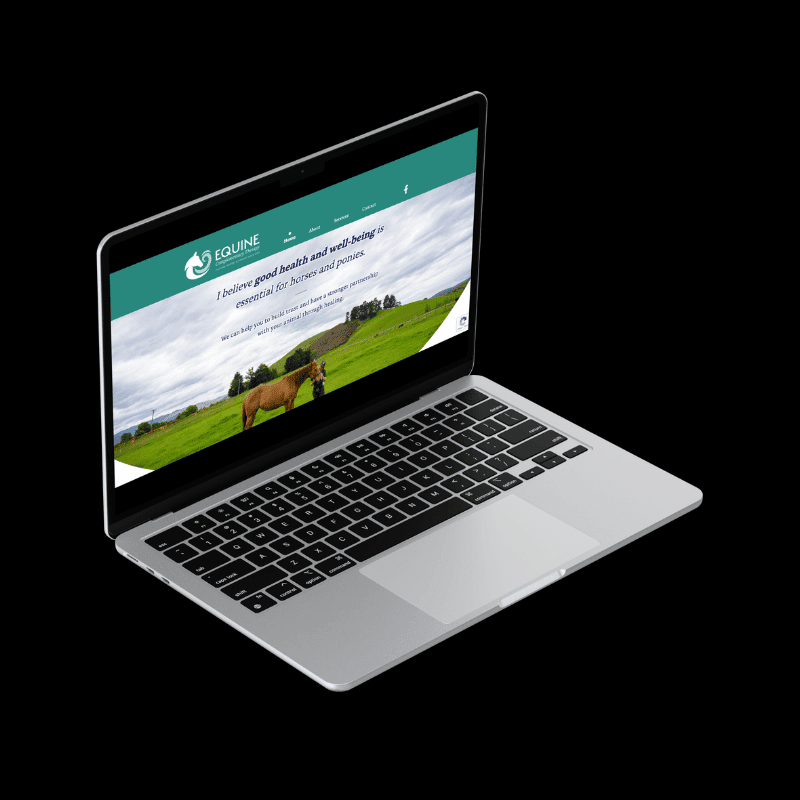 Equine Complementary Therapy – Web Design by Back9Creative Banner Image
