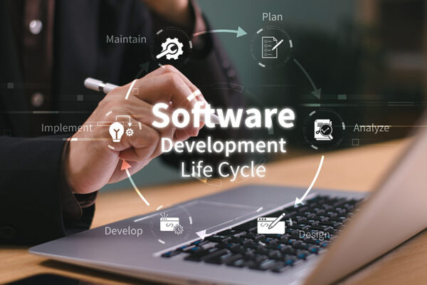 Growth-Driven Software Development in NZ