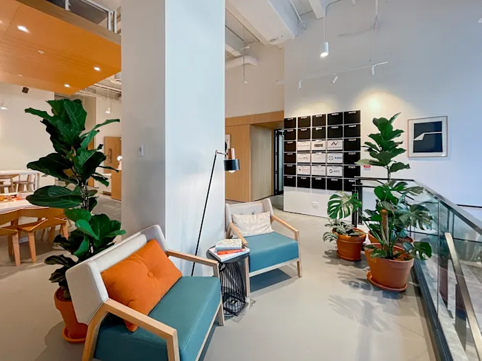 Back9-Creative-Virtual-Offices-Interior-110-Carlton-Gore-Road-New-Market-Auckland-1023.jpg