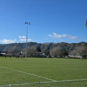 Back9 Digital Wellington: Thumbnail